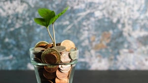 plant growing out of money representing marketing roi
